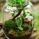 Picture of a beautiful terrarium.