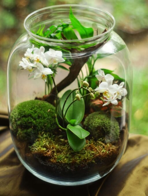 Picture of a beautiful terrarium.