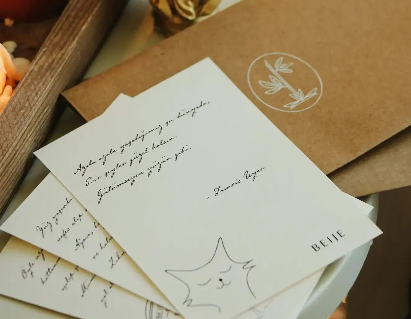 Three handwritten letters, a cute cat is drawn. Some envelops are also with the letters.