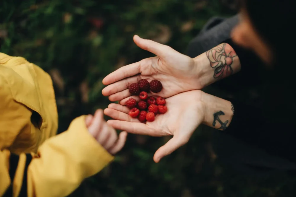 A pair of hands giving some fruits to a child.