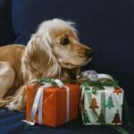 Animal Lovers will Love These Gifts