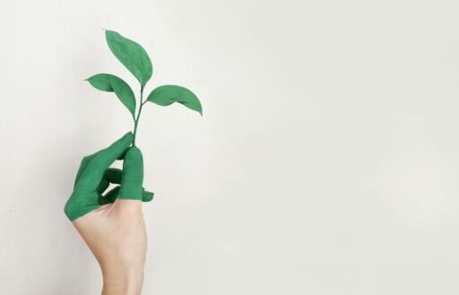 A symbolism of greenery. A hand holding a plant.