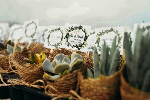 Succulent and other plants wrapped with little notes.